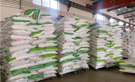 Packaging Information