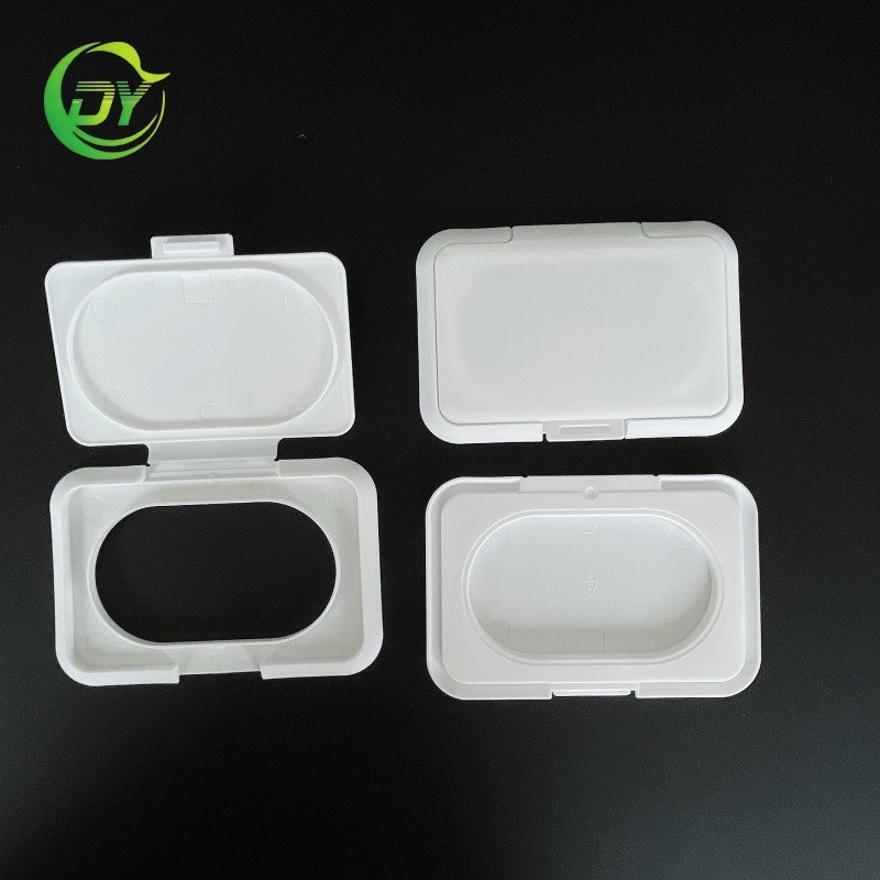Customized Colorful PP Plastic Wet Wipe Flip Top Lid with Easy Open Lx-20